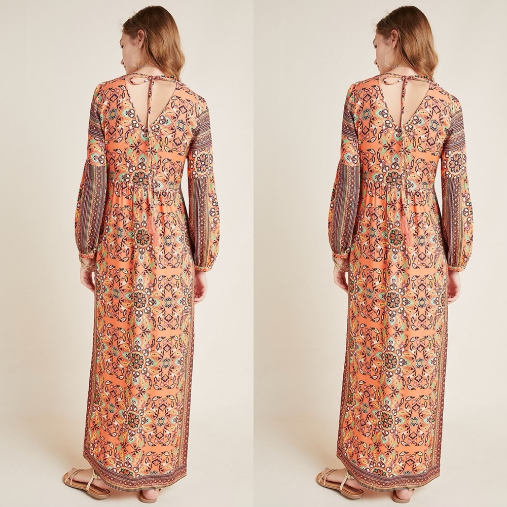 Farm Rio for Anthropologie Clarabella Maxi Dress - Picture 4 of 7